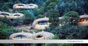 Read more about the article Best Places for Eco-Friendly Vacations: Top Green Travel Destinations