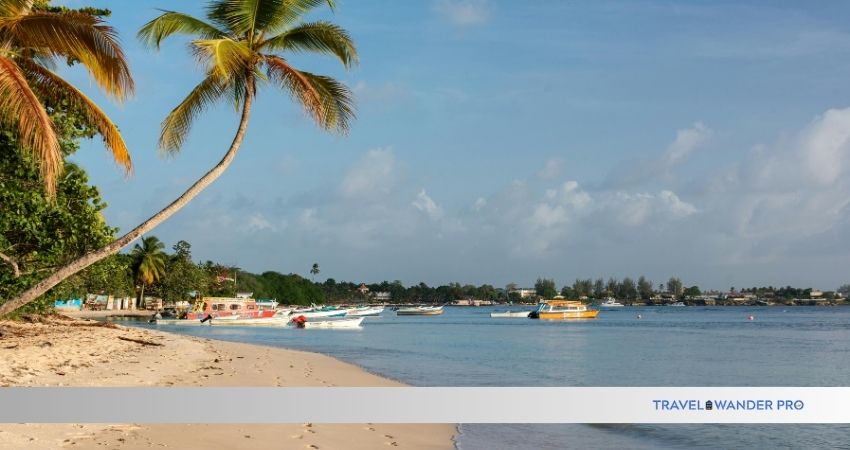 Read more about the article How to Find And Use Travel Rewards Points: Maximize Your Savings Today