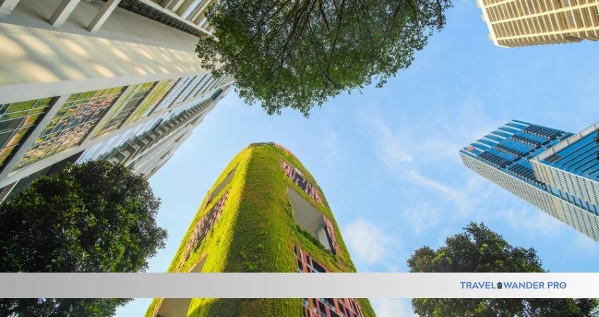 Read more about the article How to Travel Responsibly And Sustainably: Ultimate Guide for 2025