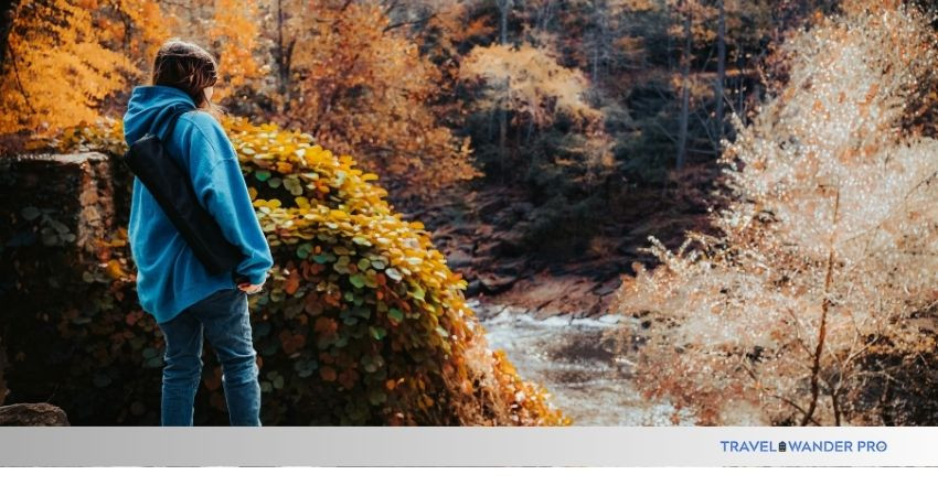 Read more about the article Why Traveling Through Nature Can Heal Your Soul: Transformative Escape