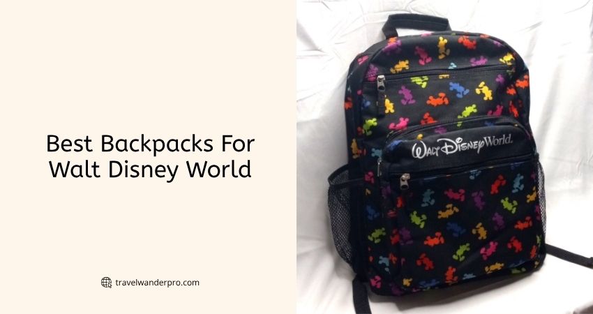 best backpacks for walt disney world