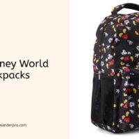 best disney world backpacks