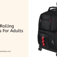 best rolling backpacks for adults